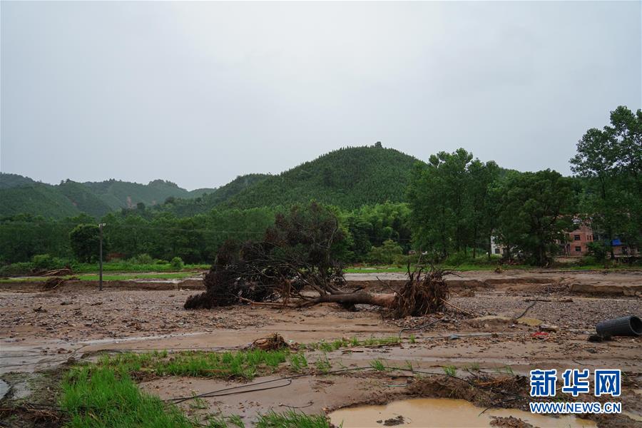 （图文互动）（3）强降雨导致多地出现内涝 江西、贵州启动防汛Ⅳ级应急响应