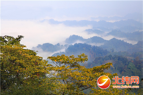 雨城区周公山风景 谢应辉 摄