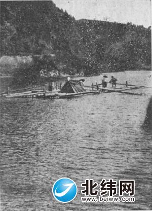 1930年代，在水上运杉木的人们。.jpg