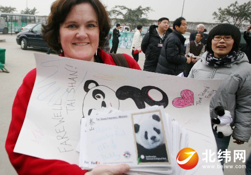 大熊猫“泰山”将于本月9日与公众见面