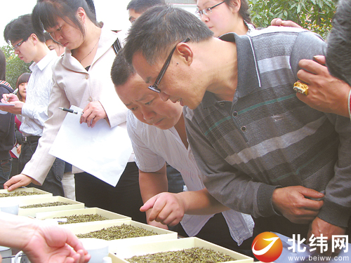杨天炯（大赛评委）：往年斗茶尺度立异 香气以及滋味最紧张