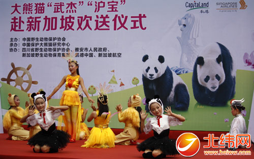 大熊猫“武杰”“沪宝”出国了
