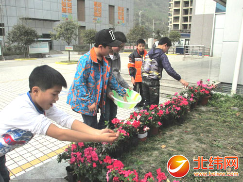 雨城区中小学多形式开展植树节活动