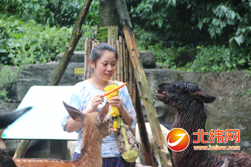 碧峰峡生态动物园 投资6000万元 改善动物生居环境