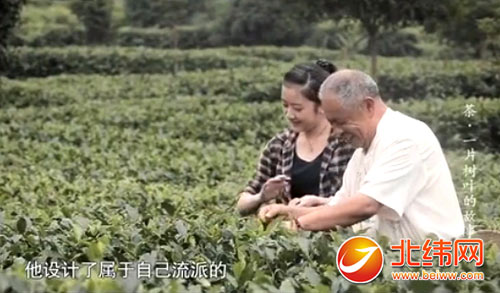 央视《茶，一片树叶的故事》 揭示雅安茶的魅力