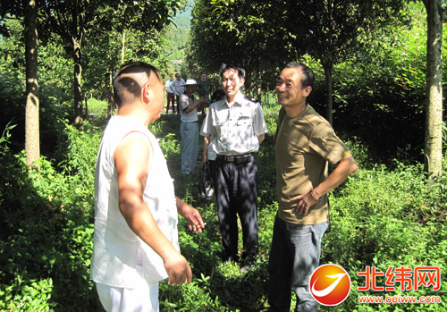 雨城区睁开 “绿盾2014”林业植物检疫法律专项行动