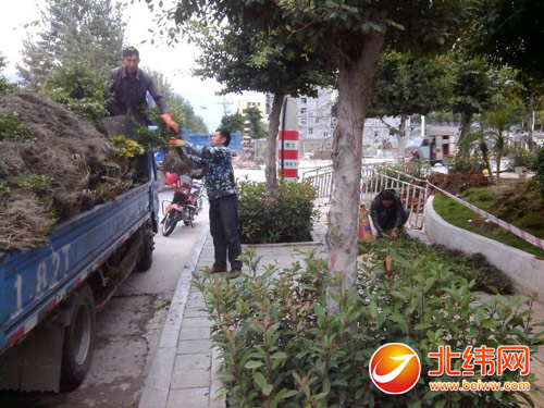 汉源县林业局实现零星地块、行道树春天栽(补)植以及节点公园绿化