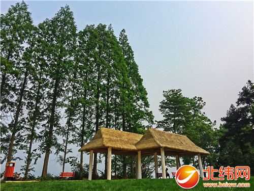 张家山公园 中国藏茶村落