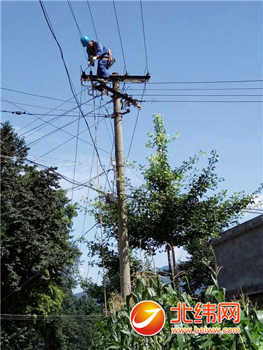 卑劣天气导致电网受损 雅电总体起劲抢修保供电