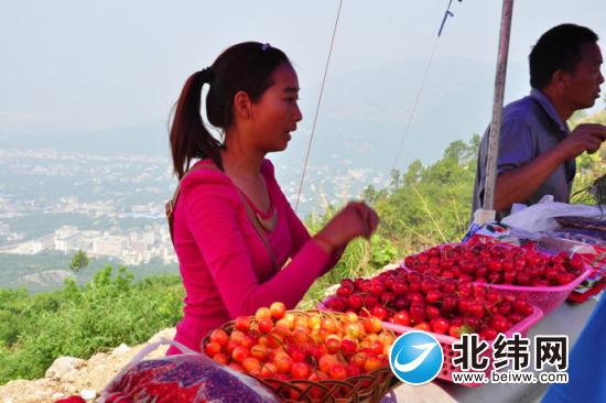 大樱桃上市 一斤最贵达70元 市夷易近直呼“吃不起！”