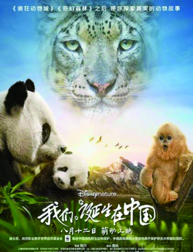 横蛮大熊猫  让天下看到中国魅力