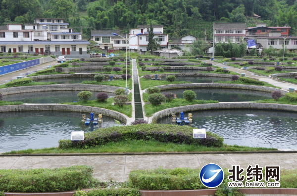 天全县	
：依托青山绿水  发展高效生态渔业