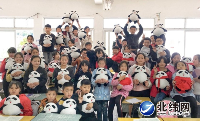 石棉县栗子坪自然保护区首次发现“鸟中大熊猫”绿尾虹雉