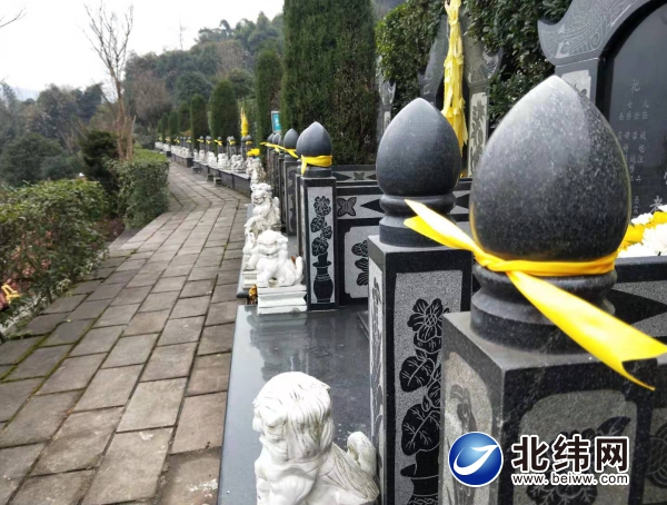 雨城区龙岗山公墓管理所组织工作人员敬献黄丝带