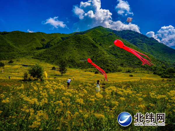 孟获城景区花海风筝季试飞活动举办
