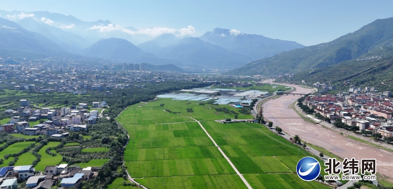 田间管护的新“稻”路