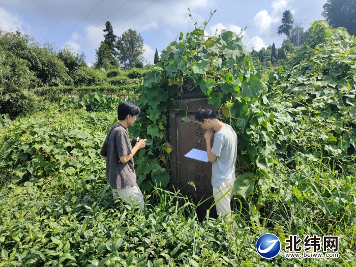 普查雅安文物  聆听历史回声